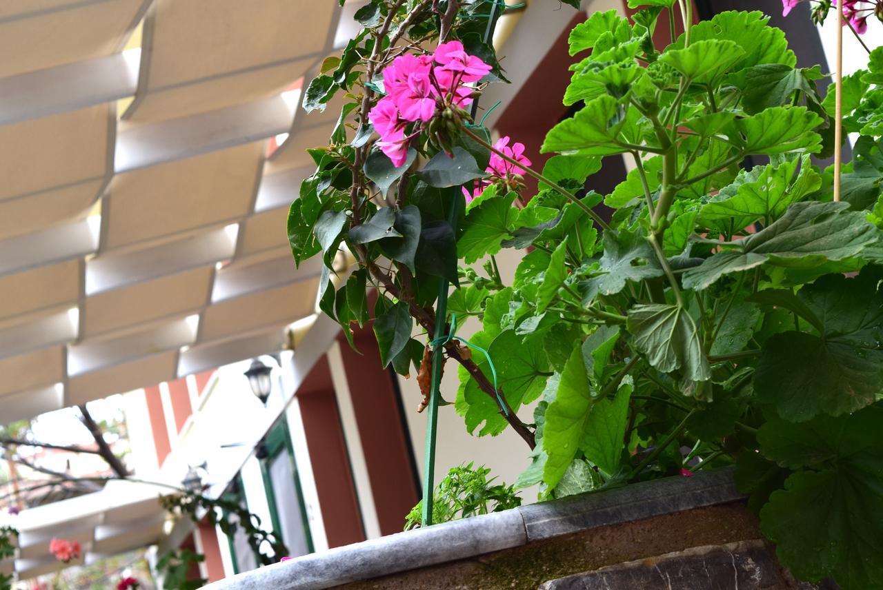 Cozy Residences In The Center Of Volissos Village - Lydia Lithos- מראה חיצוני תמונה