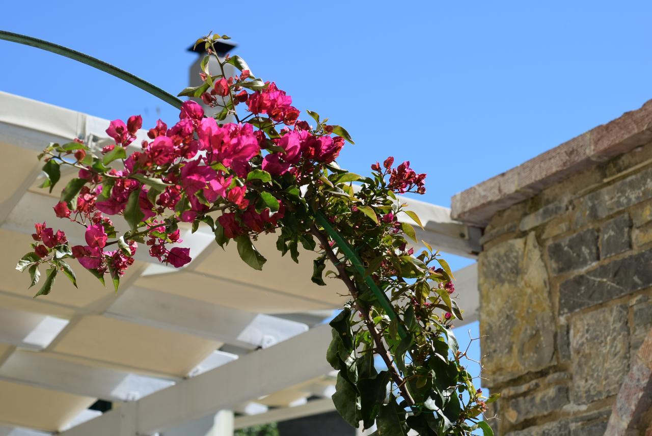 Cozy Residences In The Center Of Volissos Village - Lydia Lithos- מראה חיצוני תמונה